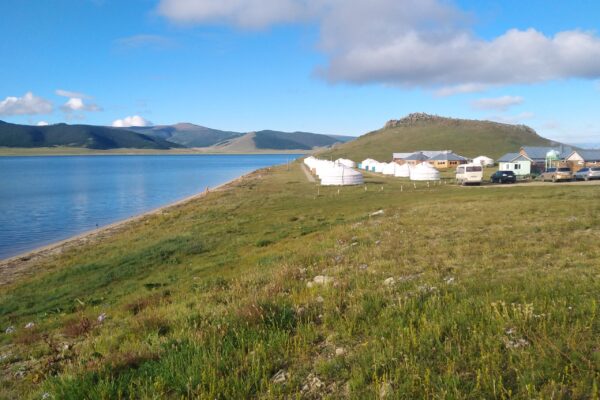 smart