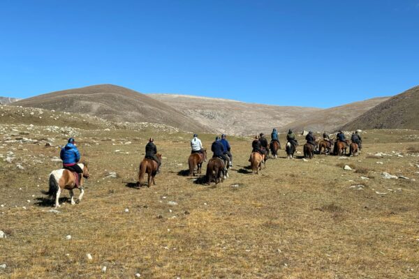 38f17ad6-b287-4228-b5ec-0f7c9bfb3fc0