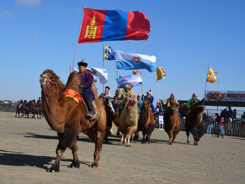 Festival de mille Chameaux