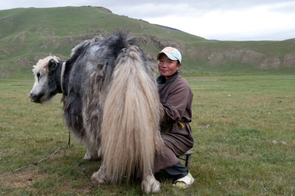 MONGOLIE-ETE-63 MONGOLIE-ETE-63