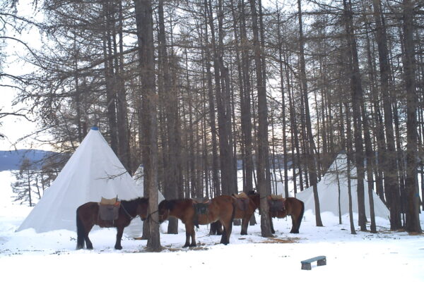 PICT0067