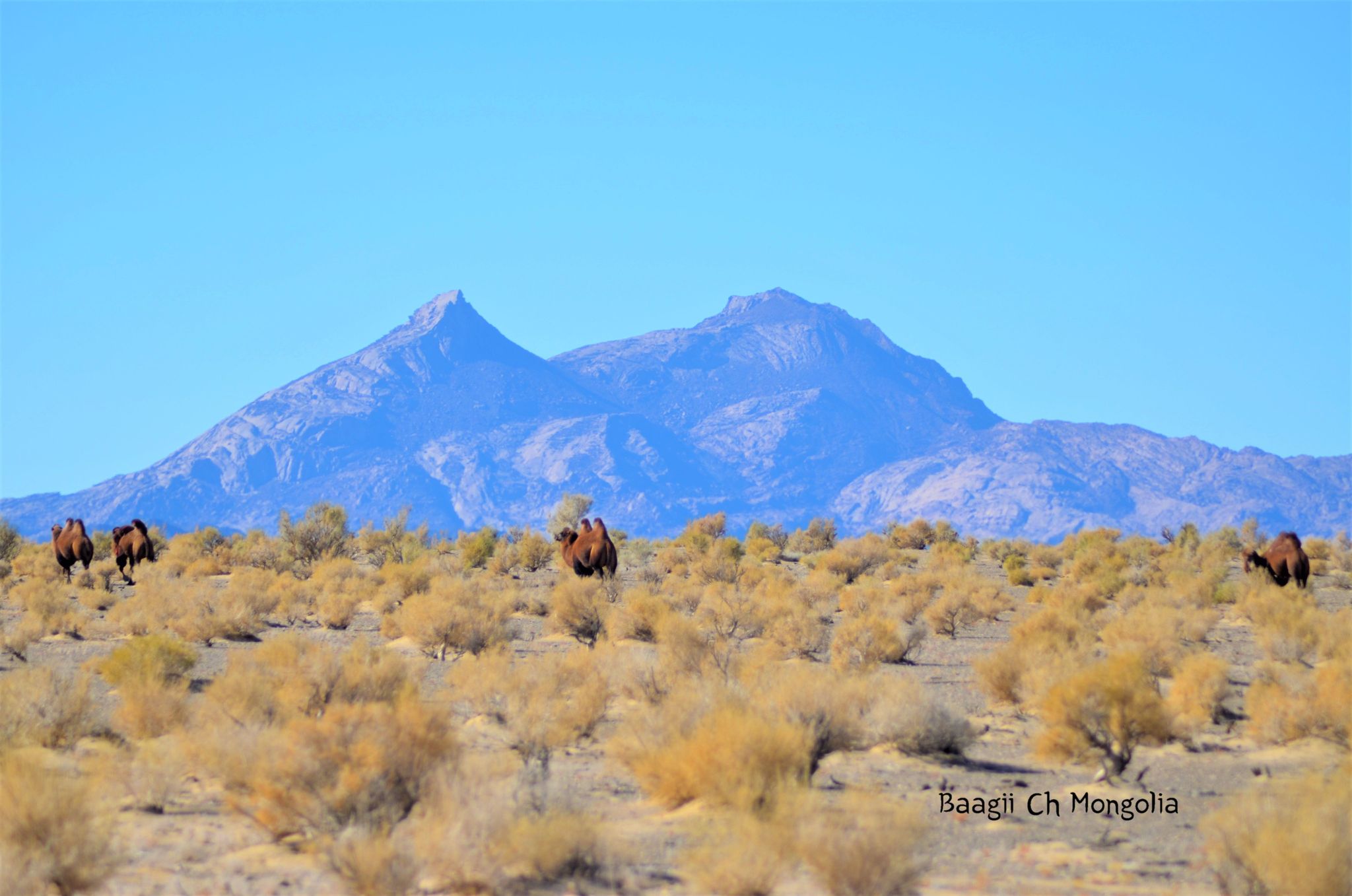 asd