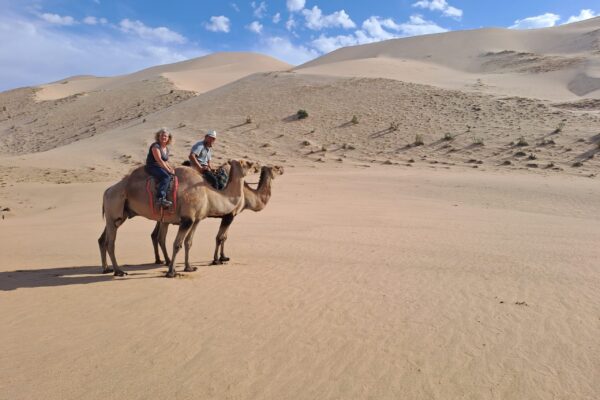 20230716_173336 20230716_173336