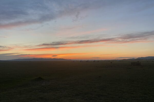 IMG_1441 IMG_1441