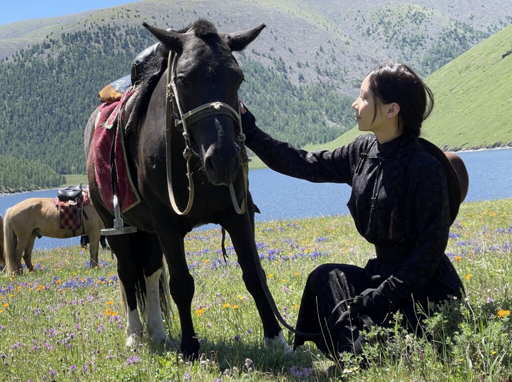 Voyage à cheval & Yack